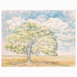 Aquarelles